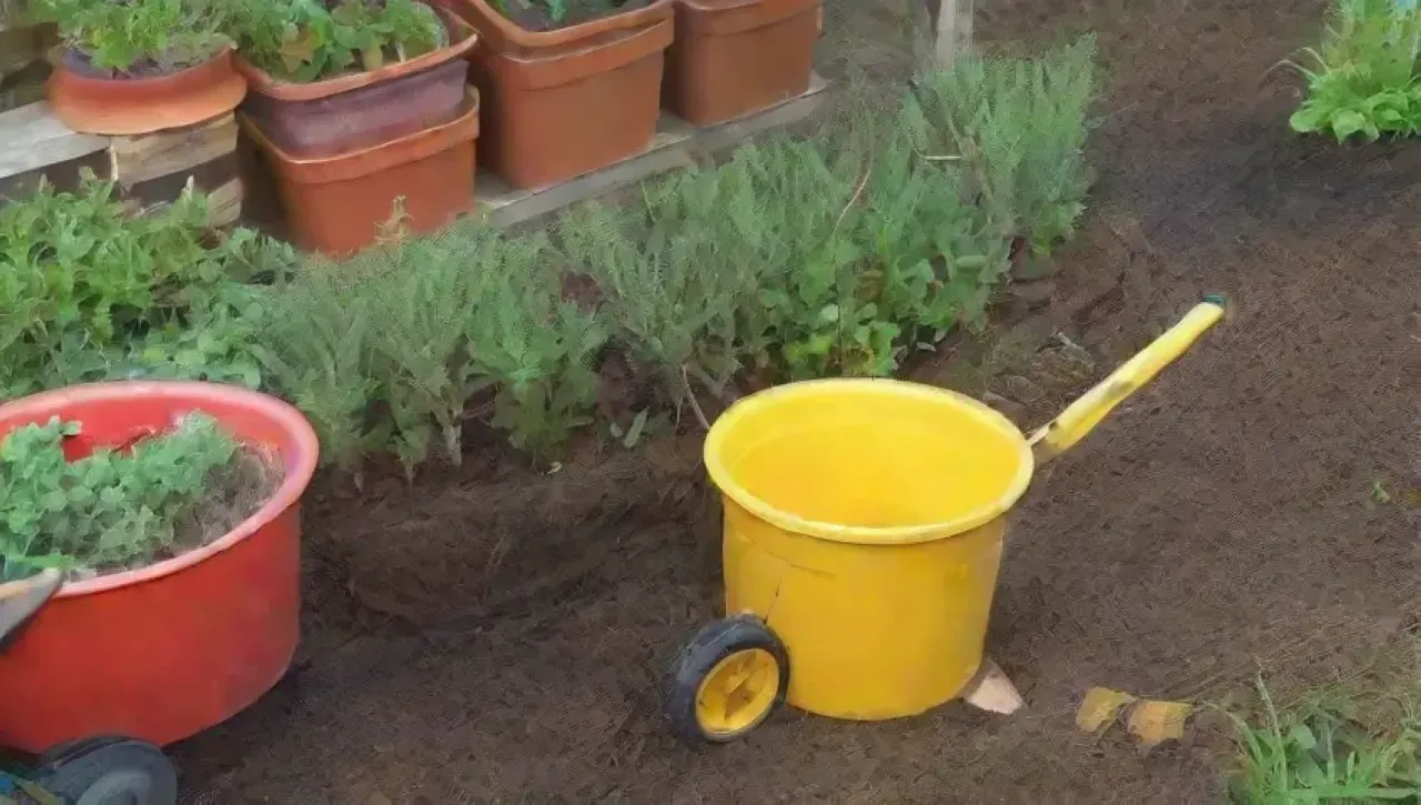Un jardín vibrante con herramientas listas y plantas florecientes