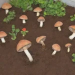 Reciclaje de desperdicios de cocina y compostaje para un jardín sostenible