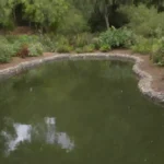 Gestión del agua y prácticas sostenibles para ecosistemas vibrantes