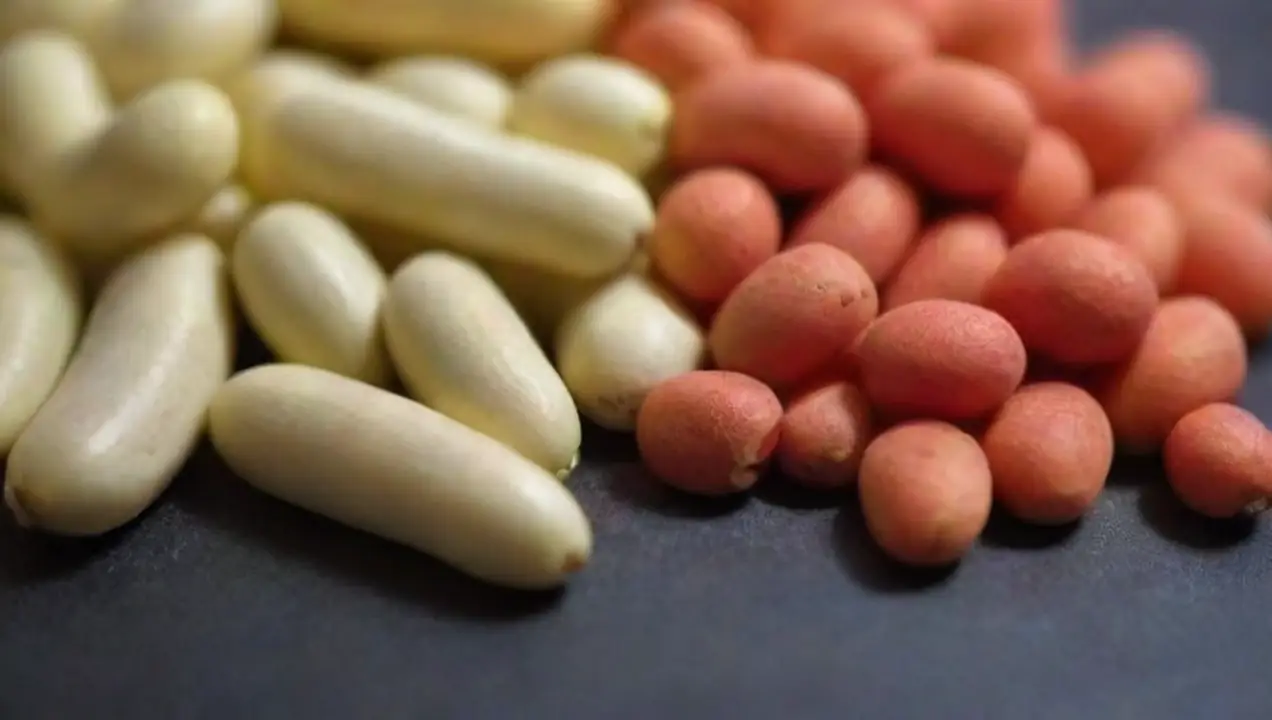 Hongos comestibles y su valor nutricional de Importancia de los hongos en el procesamiento de alimentos
