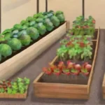 Rotación de cultivos: es útil para cultivos en invernaderos