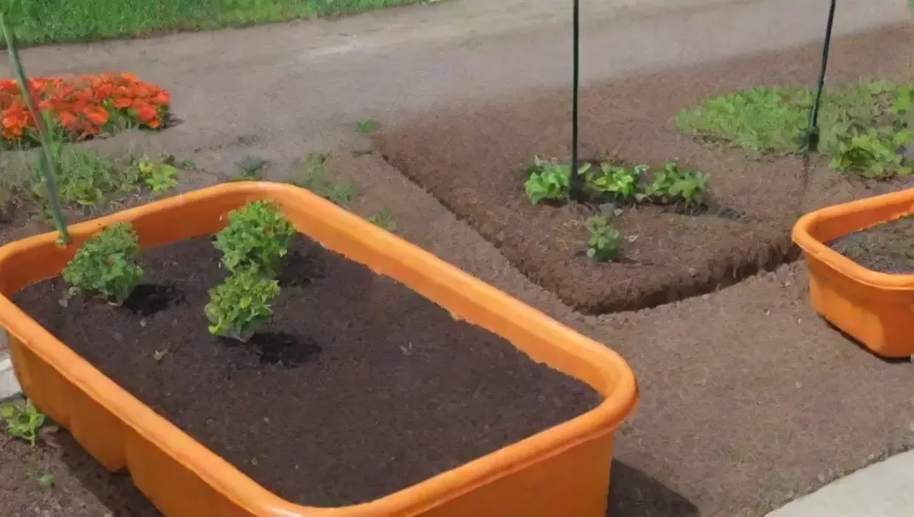 Un jardín vibrante con plantas, herramientas y comunidad colaborando