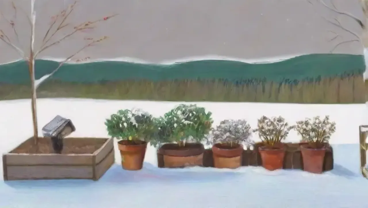 Un paisaje invernal con nieve, árboles desnudos, brotes verdes y la promesa de la primavera