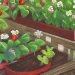 En qué meses es recomendable sembrar fresas en invernadero