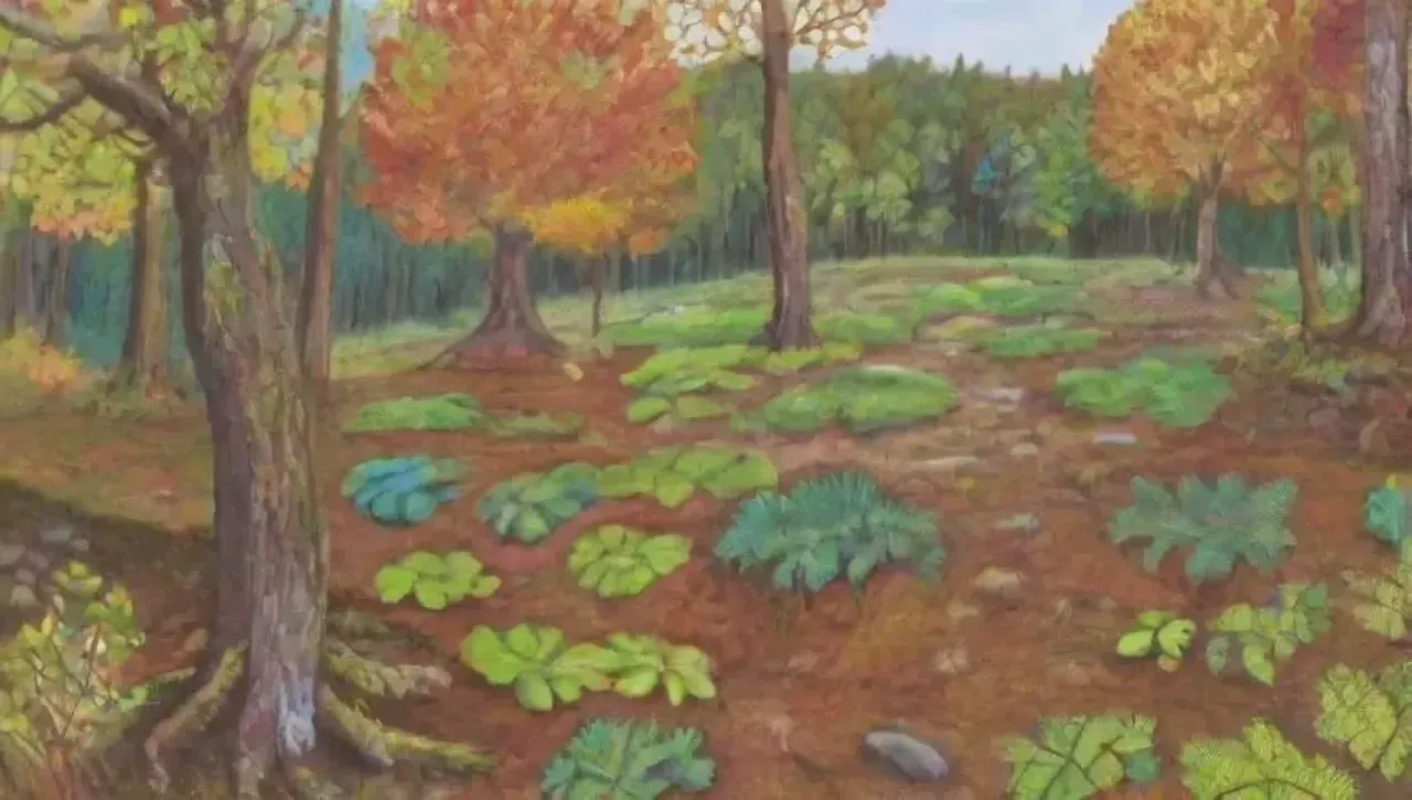 Un bosque vibrante y armonioso, lleno de vida y esperanza por la regeneración