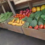 Qué estrategias seguir para crear un mercado local exitoso en tu huerto