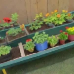Cómo promover la educación ambiental en huertos cálidos