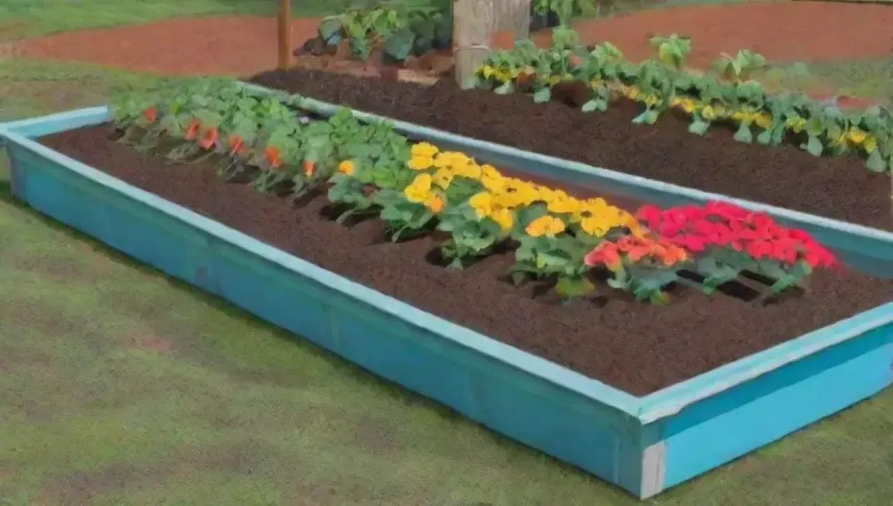 Un jardín vibrante y lleno de vida