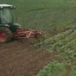 Métodos de Cultivo en Agricultura: Exploración de Diversas Técnicas