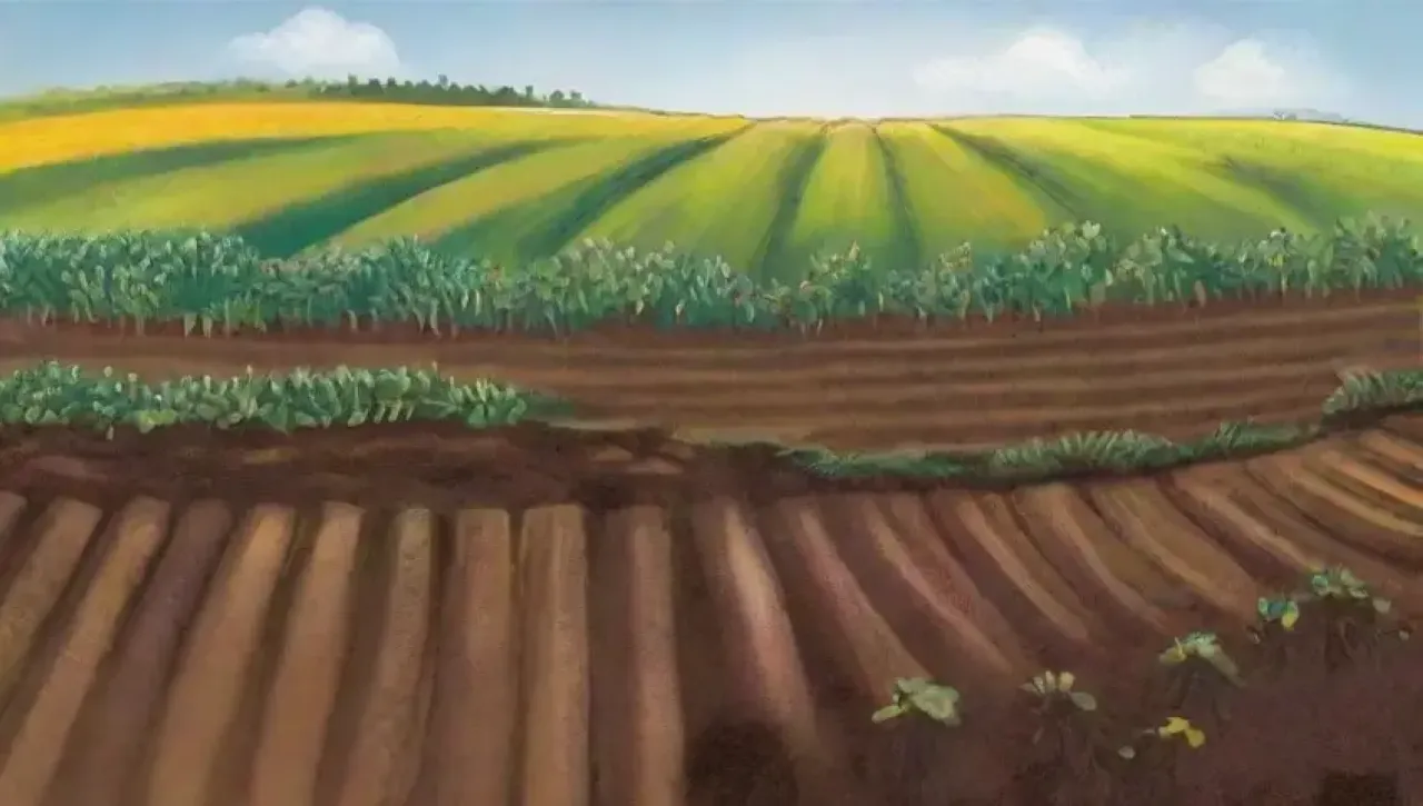 Campos verdes vibrantes y vida en equilibrio prometen sostenibilidad