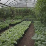 Huerto urbano con cultivos vibrantes y prácticas sostenibles