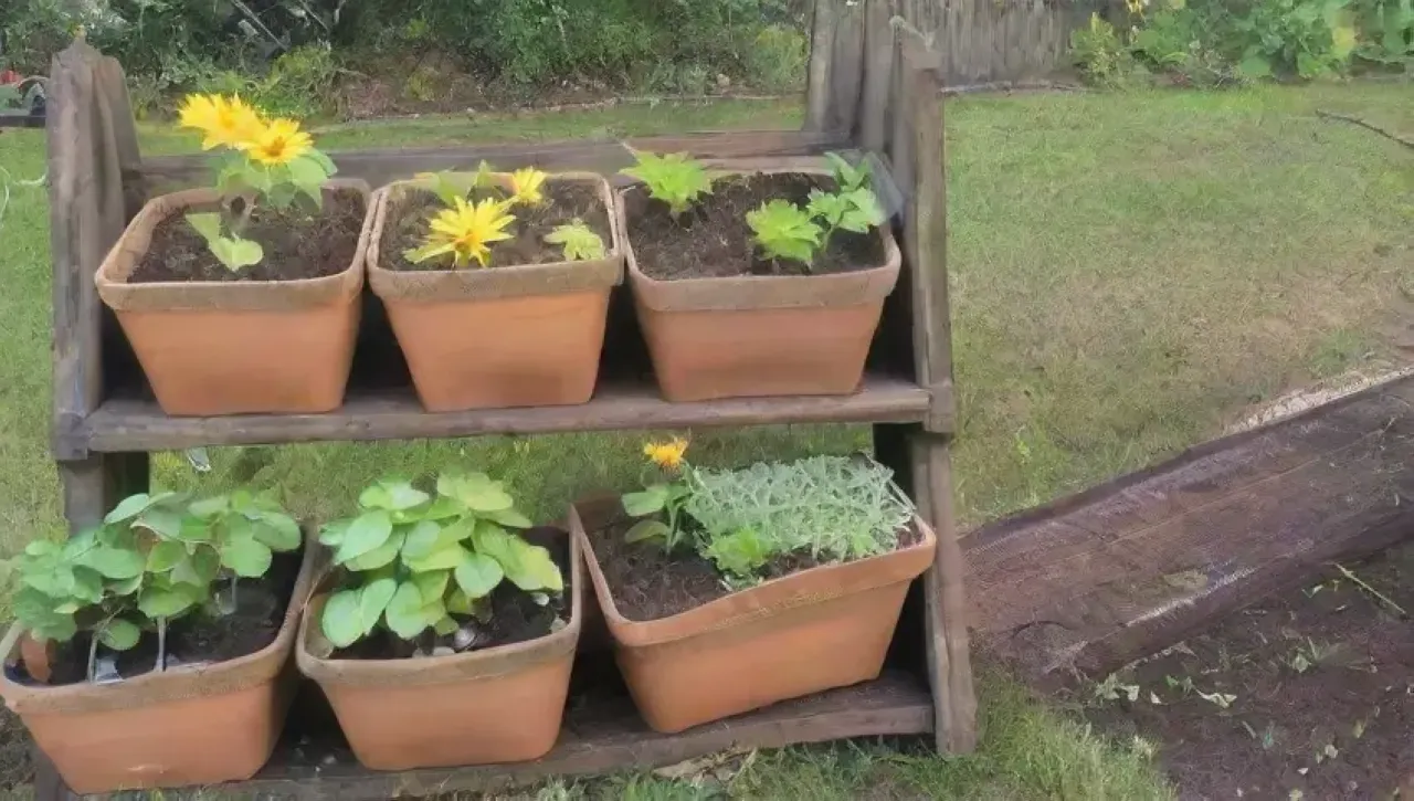 Un jardín vibrante lleno de vida, colores y aromas