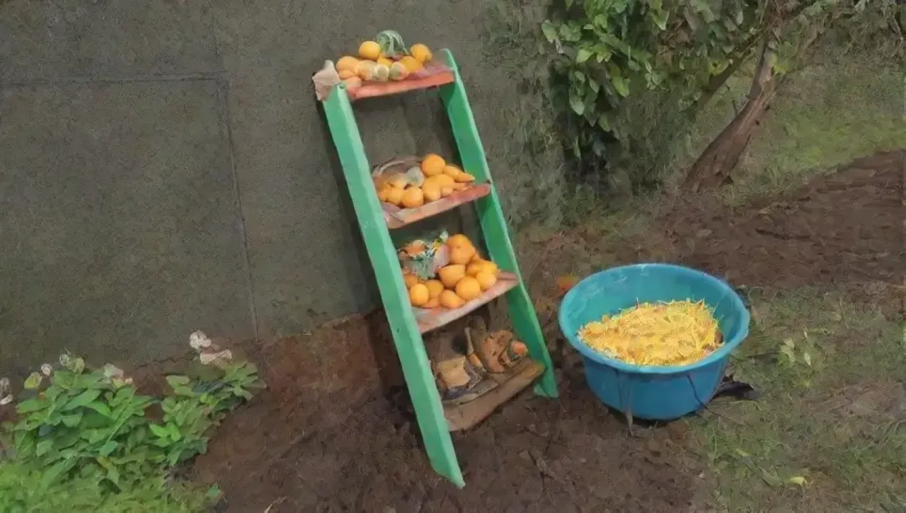 Un jardín vibrante con herramientas y elementos de jardinería