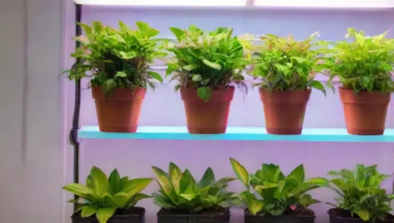 Un entorno hidroponico vibrante y saludable con luces LED y plantas en crecimiento