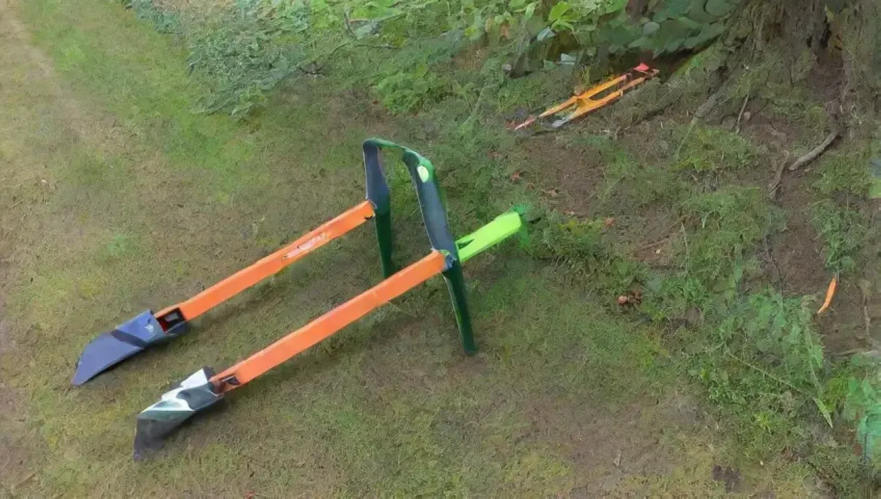 Un jardín vibrante con herramientas de poda y un cielo azul