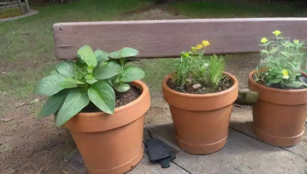 Un jardín vibrante lleno de hierbas frescas, flores y herramientas de jardinería bajo un cielo azul