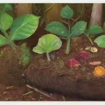 Cómo influye el clima en el proceso de creación de compost