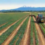 Qué papel juega la maquinaria en la agricultura de precisión