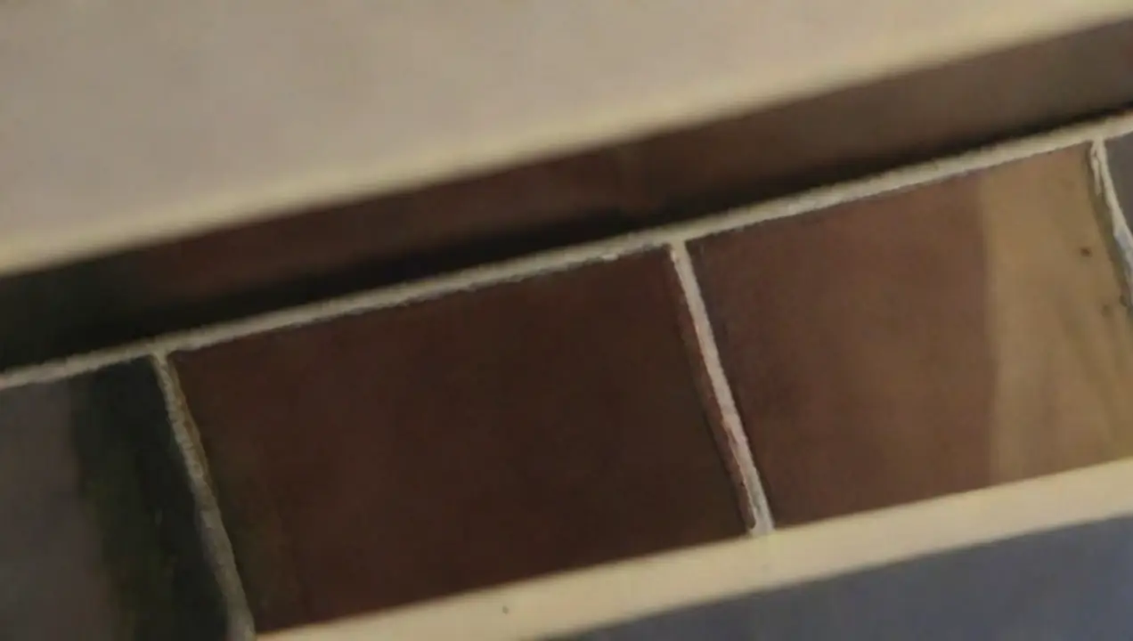 Elección de materiales para sustratos de Cómo evitar el moho durante la preparación de sustratos