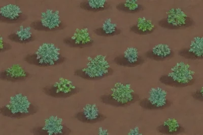 Semillas resistentes al frío y plantas resistentes para la supervivencia invernal