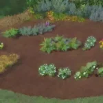 Que plantas son las más beneficiosas para usar en mulching