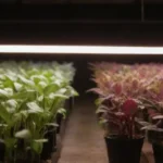Factores clave al elegir luces para cultivos en interiores