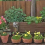 Qué conocimientos básicos sobre plantación en compañía debo tener