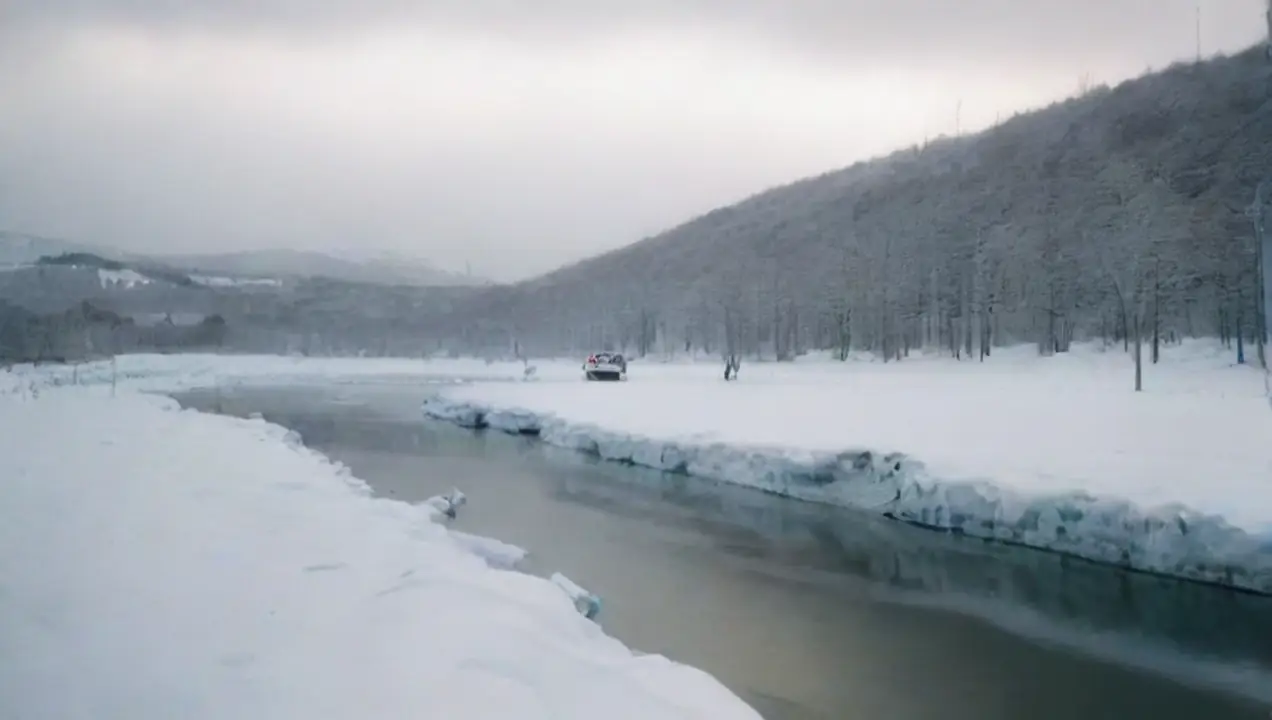 Tipos de Invernaderos de Invernaderos: Soluciones Efectivas ante Desafíos Climáticos