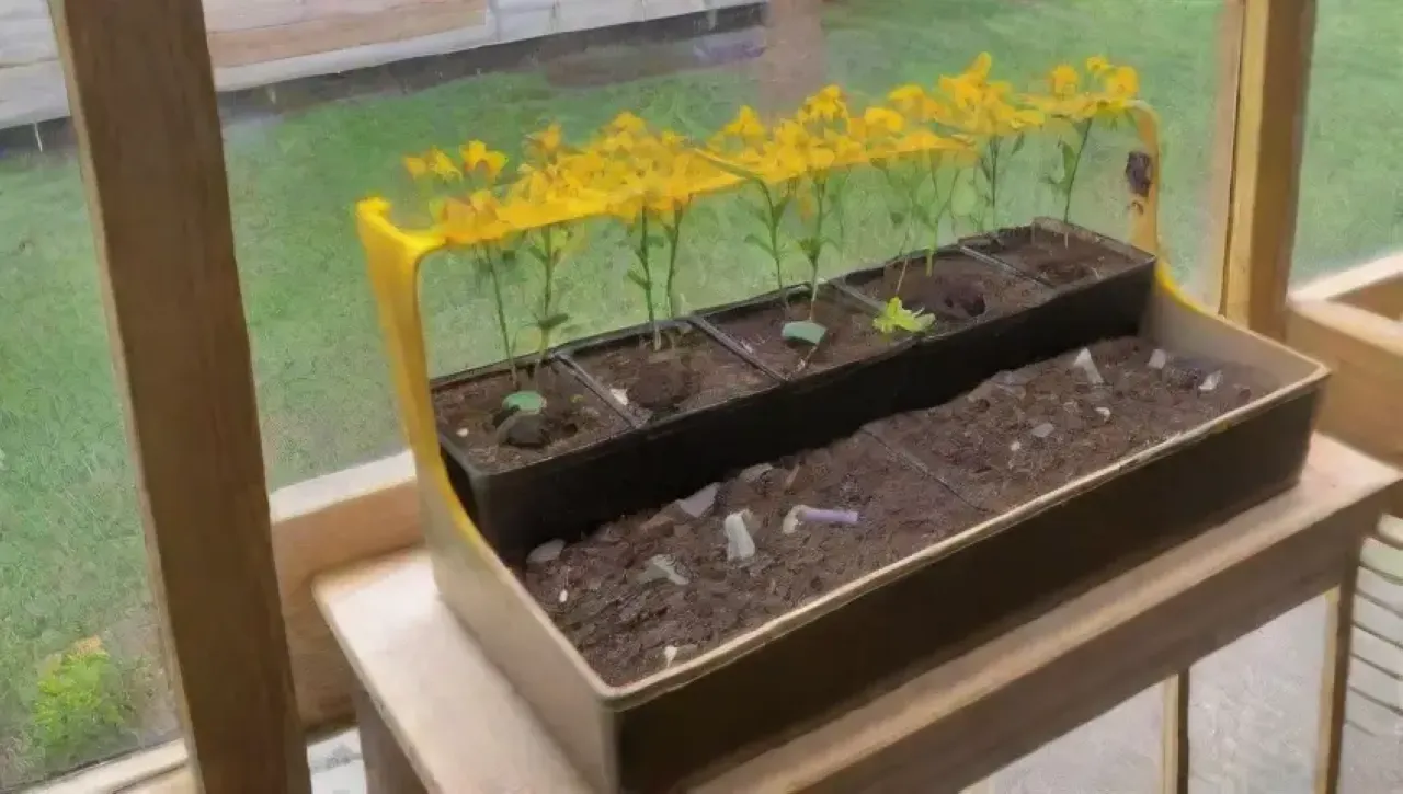Un acogedor jardín interior con plántulas verdes, tierra rica y coloridas macetas
