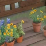 Cómo crear un calendario de riego para tus plantas de jardín