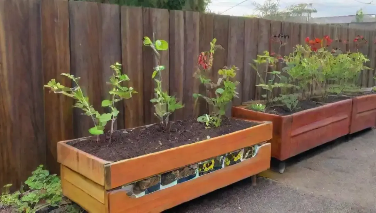 Un jardín urbano vibrante con plantas, flores y herramientas, lleno de vida y color
