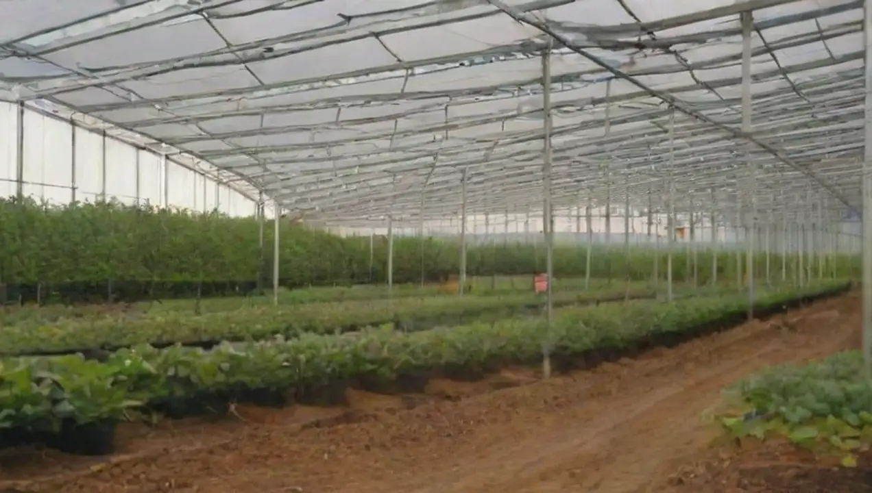 Regulaciones ambientales y su impacto de Normativas y aspectos legales en la construcción de invernaderos agrícolas