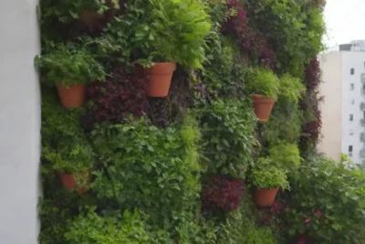 Jardines verticales que transforman balcones con plantas vibrantes y diseño sostenible