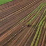 Drones convencionales o autónomos: cuál elegir para la agricultura