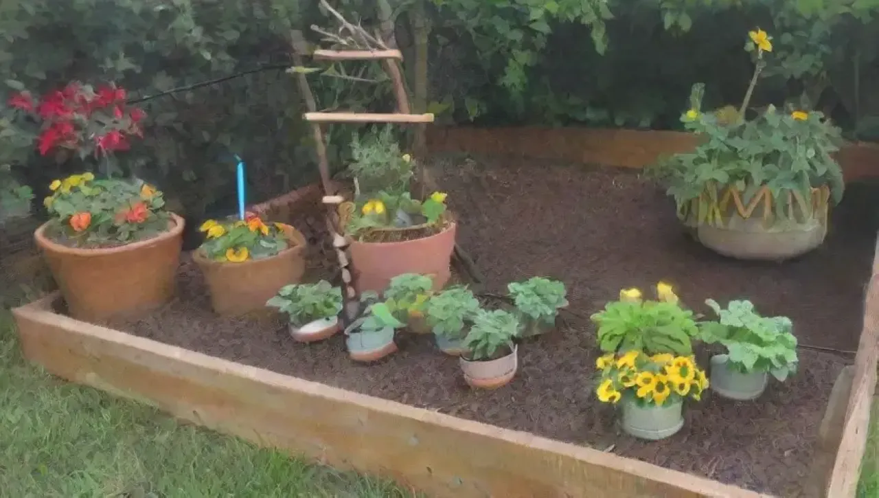 Un jardín vibrante y lleno de vida con plantas, flores y herramientas
