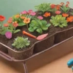 Con qué tipos de tijeras debo realizar injertos en plantas