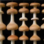 Qué es el casing y su aplicación en el cultivo de hongos