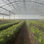 Evaluación de la calidad del aire en invernaderos agrícolas