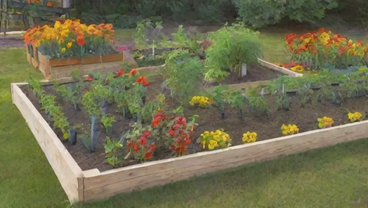 Un jardín vibrante lleno de plantas, frutas y herramientas rústicas bajo un cielo sereno