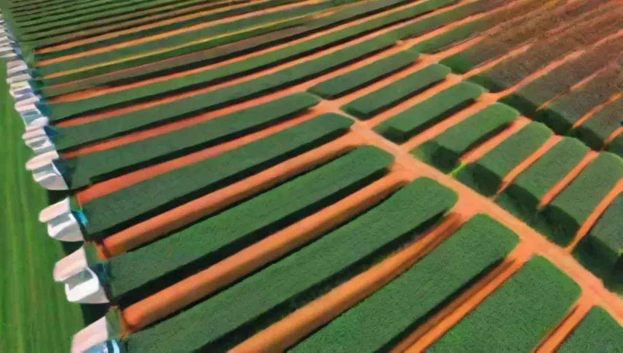 Campos verdes vibrantes con drones, agricultores y tecnología en acción