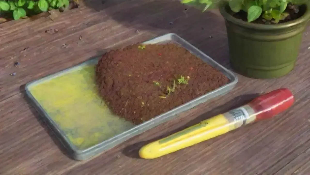 Un jardín vibrante con suelo verde, herramientas coloridas y vegetales frescos