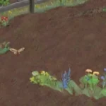 Cómo influye el uso de mulch en la protección del suelo