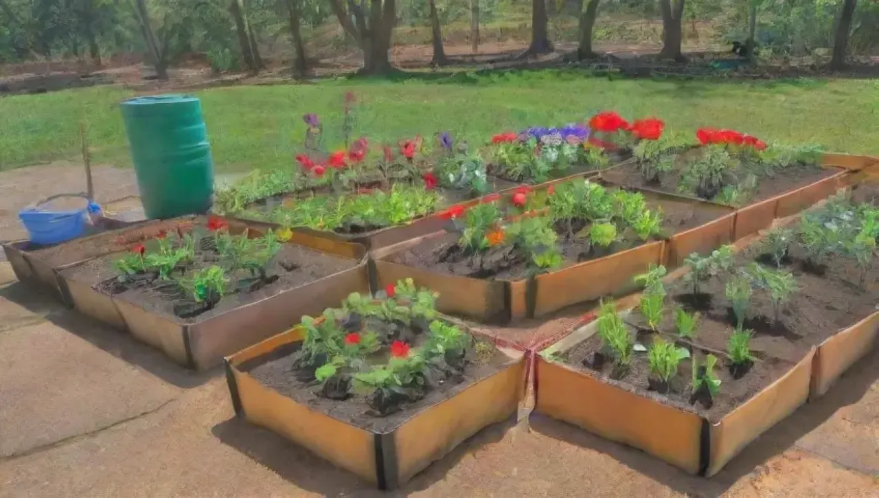 Un jardín vibrante y comunitario lleno de vida y aprendizaje