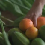 Consejos para enfrentar la escasez de fructificación en cultivos