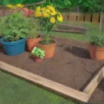 Qué se necesita para mantener un huerto urbano durante el verano