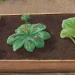 Qué rol juegan los micronutrientes en la salud del huerto sostenible