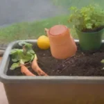 Cómo hacer compost de manera efectiva y sencilla en casa