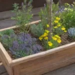 Cuáles son las propiedades medicinales de las hierbas aromáticas