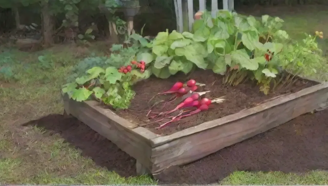 Un jardín vibrante y acogedor lleno de colores, aromas y vida