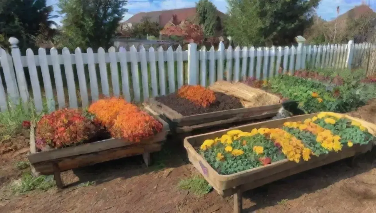 Un vibrante y armonioso jardín lleno de colores y vida